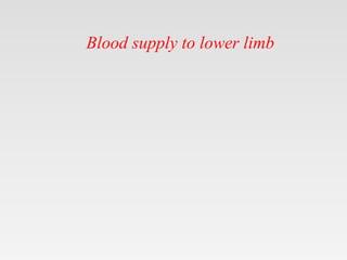 Blood supply to lower limb
 