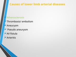lower limb artery 6D.pptx vasular doppler | PPTX