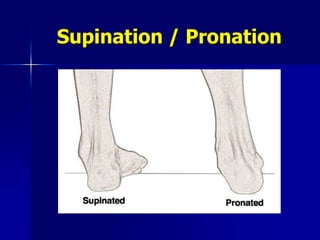 Lower Limb Biomechanics.ppt