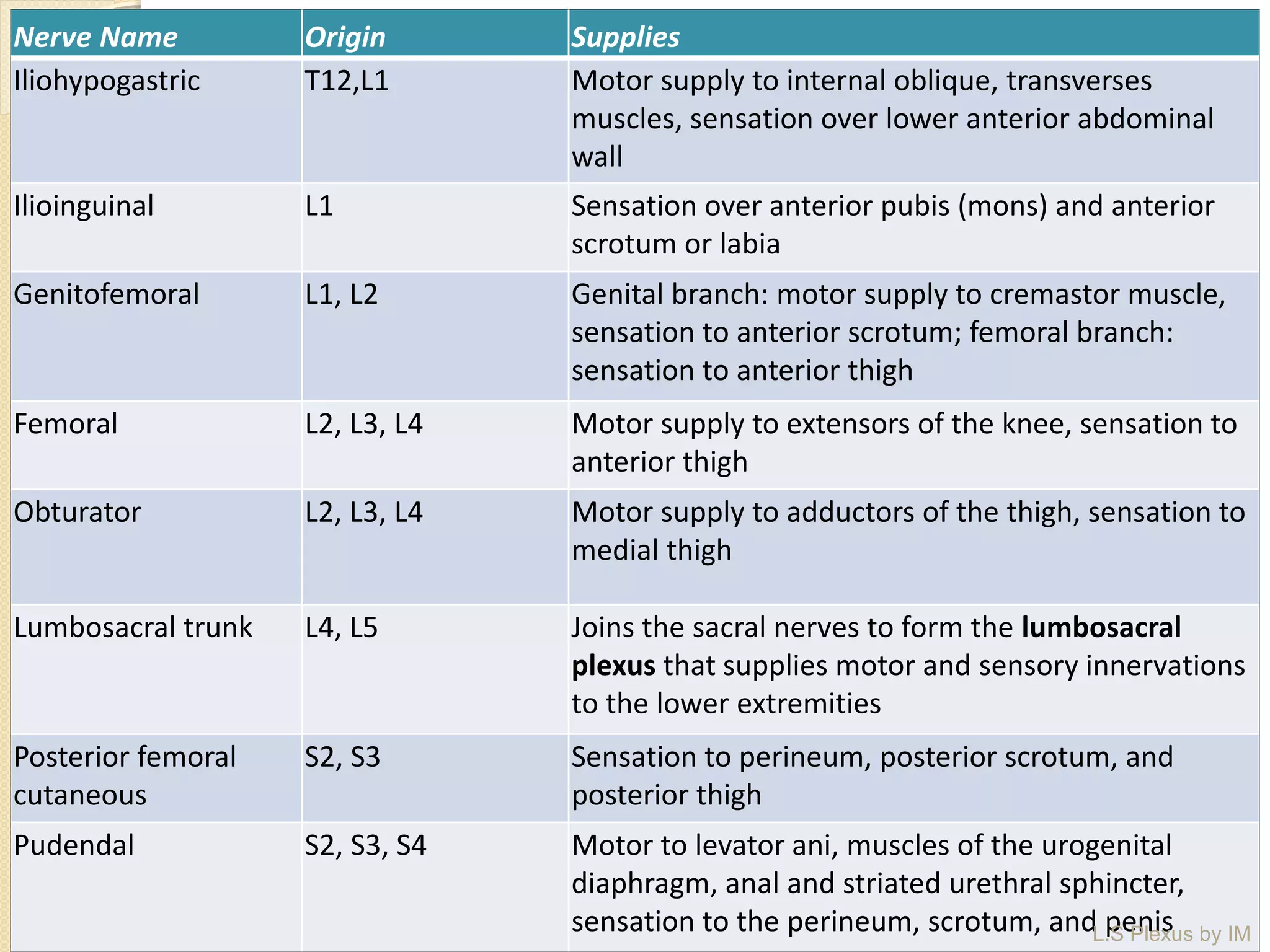 Nerve Name Origin Supplies
Iliohypogastric T12,L1 Motor supply to internal oblique, transverses
muscles, sensation over lower anterior abdominal
wall
Ilioinguinal L1 Sensation over anterior pubis (mons) and anterior
scrotum or labia
Genitofemoral L1, L2 Genital branch: motor supply to cremastor muscle,
sensation to anterior scrotum; femoral branch:
sensation to anterior thigh
Femoral L2, L3, L4 Motor supply to extensors of the knee, sensation to
anterior thigh
Obturator L2, L3, L4 Motor supply to adductors of the thigh, sensation to
medial thigh
Lumbosacral trunk L4, L5 Joins the sacral nerves to form the lumbosacral
plexus that supplies motor and sensory innervations
to the lower extremities
Posterior femoral
cutaneous
S2, S3 Sensation to perineum, posterior scrotum, and
posterior thigh
Pudendal S2, S3, S4 Motor to levator ani, muscles of the urogenital
diaphragm, anal and striated urethral sphincter,
sensation to the perineum, scrotum, and penisL.S Plexus by IM
 