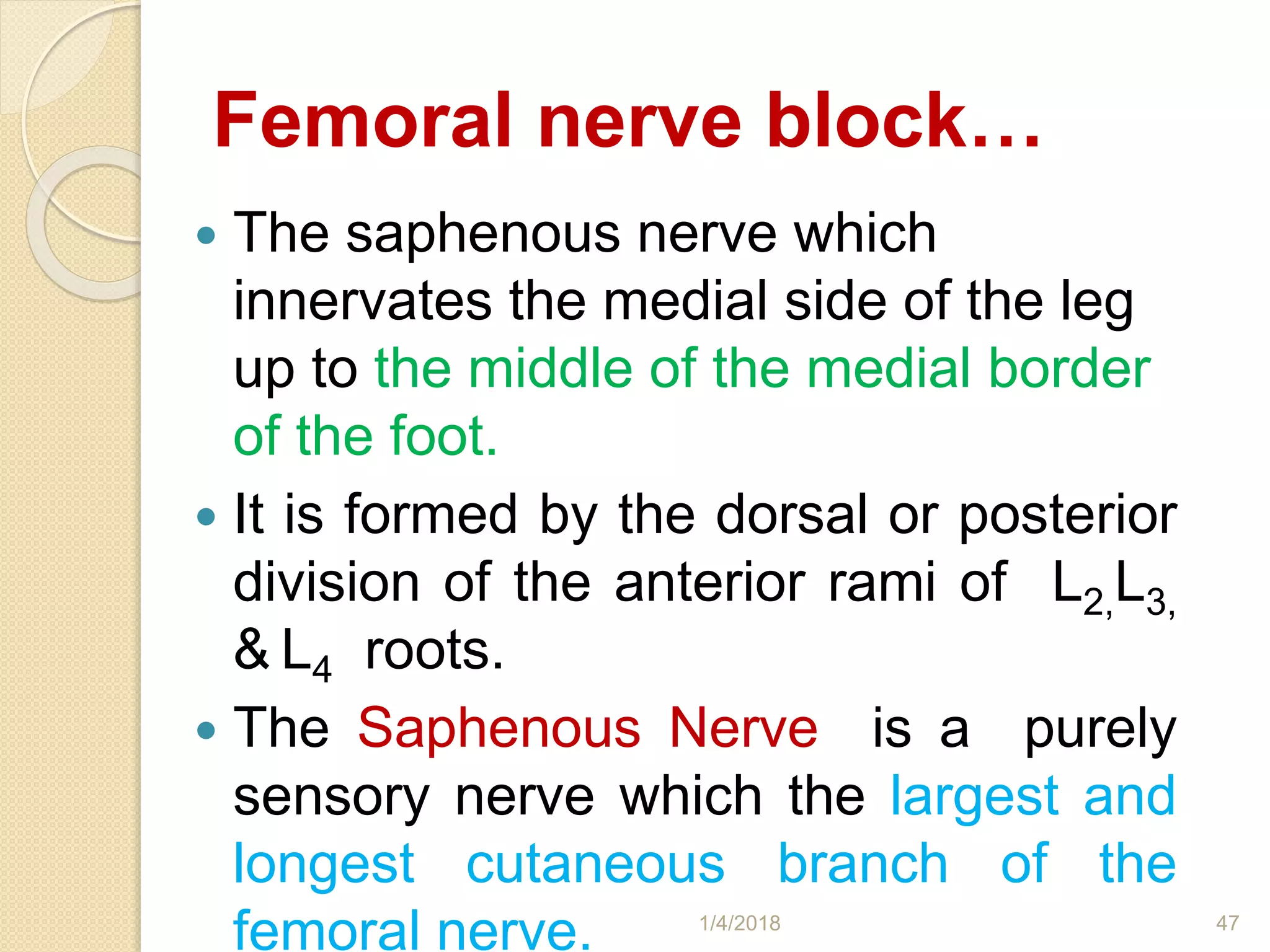 Femoral nerve block…
 The saphenous nerve which
innervates the medial side of the leg
up to the middle of the medial border
of the foot.
 It is formed by the dorsal or posterior
division of the anterior rami of L2,L3,
& L4 roots.
 The Saphenous Nerve is a purely
sensory nerve which the largest and
longest cutaneous branch of the
femoral nerve. 1/4/2018 47
 