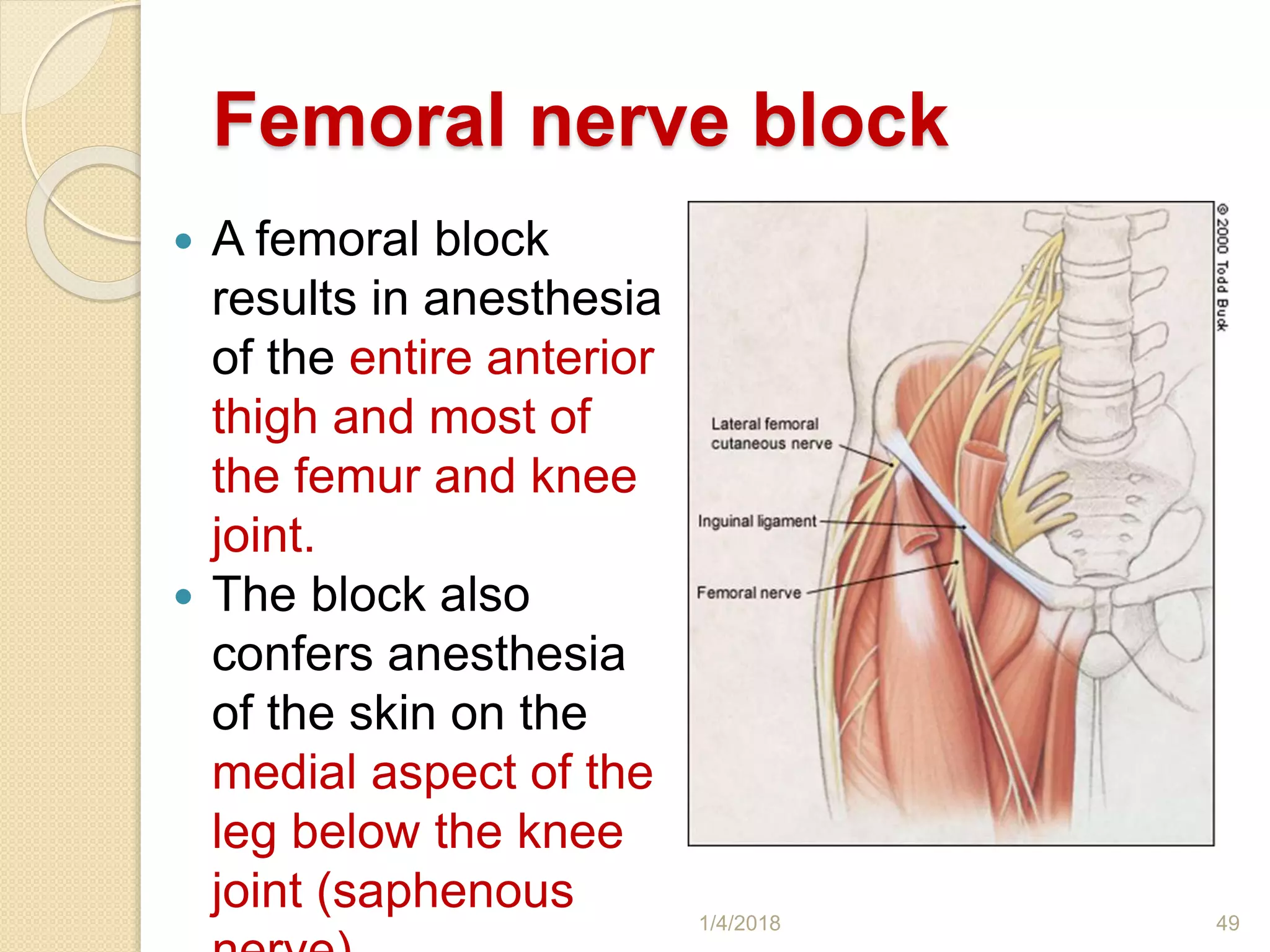Femoral nerve block
 A femoral block
results in anesthesia
of the entire anterior
thigh and most of
the femur and knee
joint.
 The block also
confers anesthesia
of the skin on the
medial aspect of the
leg below the knee
joint (saphenous 1/4/2018 49
 