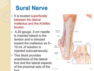 Sural Nerve
 It is located superficially
between the lateral
malleolus and the Achilles
tendon.
 A 25-gauge, 3-cm needle
is inserted lateral to the
tendon and is directed
toward the malleolus as 5–
10 mL of solution is
injected subcutaneously.
 This block provides
anesthesia of the lateral
foot and the lateral aspects
of the proximal sole of the
1/4/2018 106
 
