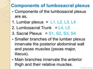 Components of lumbosacral plexus
 Components of the lumbosacral plexus
are as,
1. Lumbar plexus = L1, L2, L3, L4
2. Lumbosacral Trunk = L4, L5
3. Sacral Plexus = S1, S2, S3, S4
 Smaller branches of the lumber plexus
innervate the posterior abdominal wall
and psoas muscles (psoas major,
iliacus).
 Main branches innervate the anterior
thigh and their relative muscles.
L.S Plexus by IM
 
