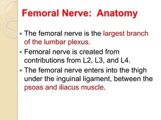 Femoral Nerve: Anatomy
 The femoral nerve is the largest branch
of the lumbar plexus.
 Femoral nerve is created from
contributions from L2, L3, and L4.
 The femoral nerve enters into the thigh
under the inguinal ligament, between the
psoas and iliacus muscle.
 