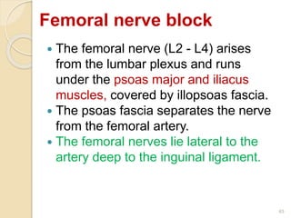 Femoral nerve block
 The femoral nerve (L2 - L4) arises
from the lumbar plexus and runs
under the psoas major and iliacus
muscles, covered by illopsoas fascia.
 The psoas fascia separates the nerve
from the femoral artery.
 The femoral nerves lie lateral to the
artery deep to the inguinal ligament.
45
 