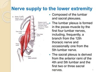 Nerve supply to the lower extremity
 Composed of the lumbar
and sacral plexuses.
 The lumbar plexus is formed
in the psoas muscle by the
first four lumbar nerves,
including, frequently, a
branch from the 12th
thoracic nerve and
occasionally one from the
5th lumbar nerve.
 The sacral plexus is derived
from the anterior rami of the
4th and 5th lumbar and the
first two or three sacral
nerves.1/4/2018 5
 