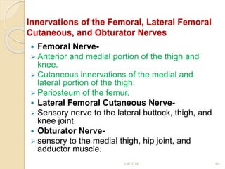 Innervations of the Femoral, Lateral Femoral
Cutaneous, and Obturator Nerves
 Femoral Nerve-
 Anterior and medial portion of the thigh and
knee.
 Cutaneous innervations of the medial and
lateral portion of the thigh.
 Periosteum of the femur.
 Lateral Femoral Cutaneous Nerve-
 Sensory nerve to the lateral buttock, thigh, and
knee joint.
 Obturator Nerve-
 sensory to the medial thigh, hip joint, and
adductor muscle.
1/4/2018 69
 
