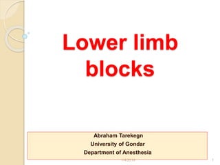 Lower limb
blocks
Abraham Tarekegn
University of Gondar
Department of Anesthesia
1/4/2018 1
 