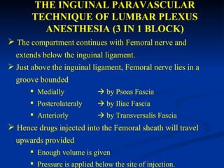 Lower limb blocks | PPT
