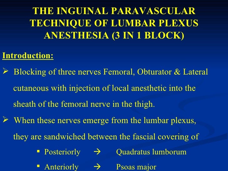 lower limb blocks lower limb blocks, Muscles