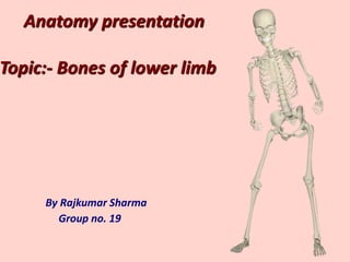 Anatomy presentation
Topic:- Bones of lower limb
By Rajkumar Sharma
Group no. 19
 