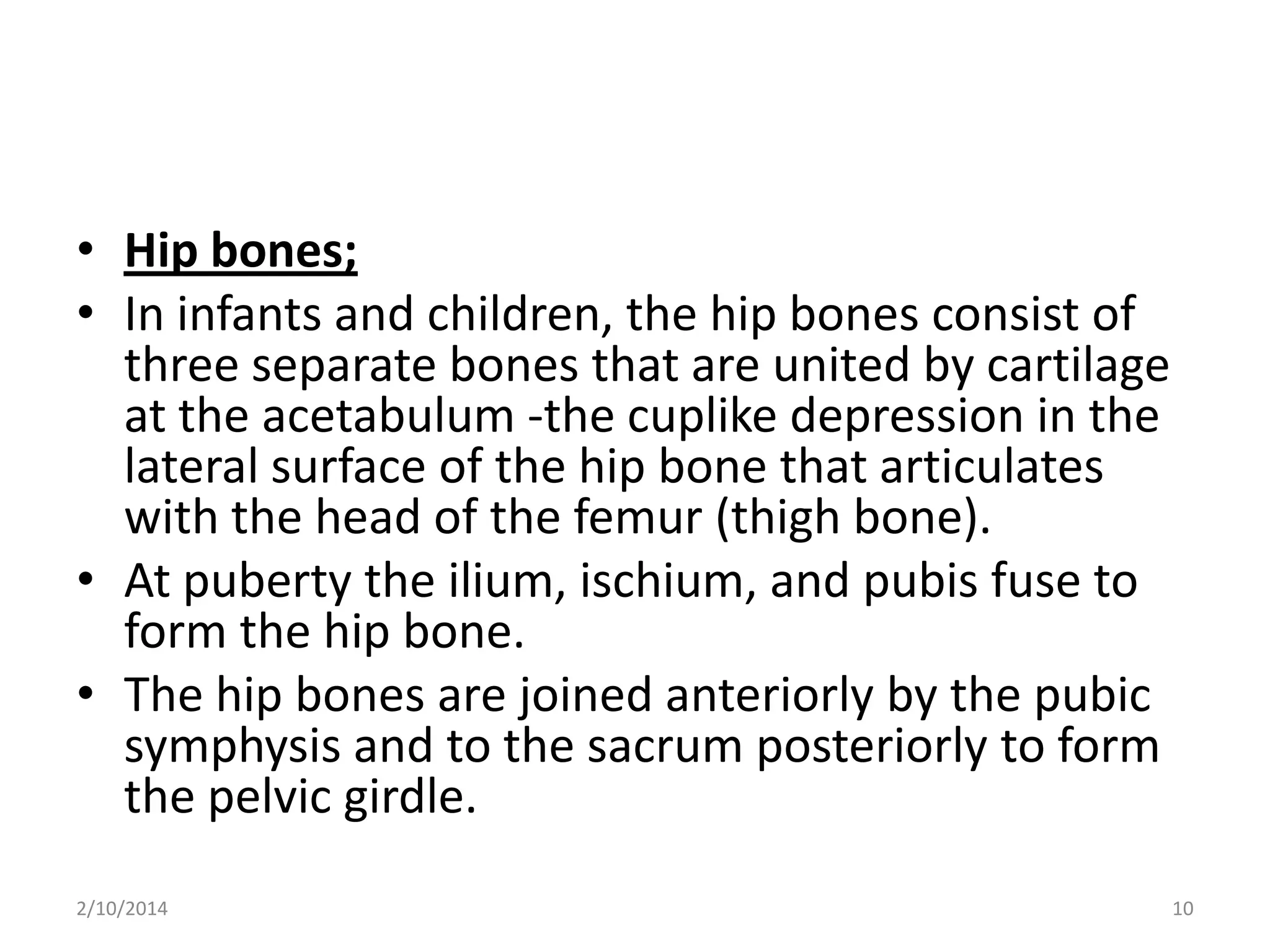 • Hip bones;
• In infants and children, the hip bones consist of
three separate bones that are united by cartilage
at the acetabulum -the cuplike depression in the
lateral surface of the hip bone that articulates
with the head of the femur (thigh bone).
• At puberty the ilium, ischium, and pubis fuse to
form the hip bone.
• The hip bones are joined anteriorly by the pubic
symphysis and to the sacrum posteriorly to form
the pelvic girdle.
2/10/2014

10

 