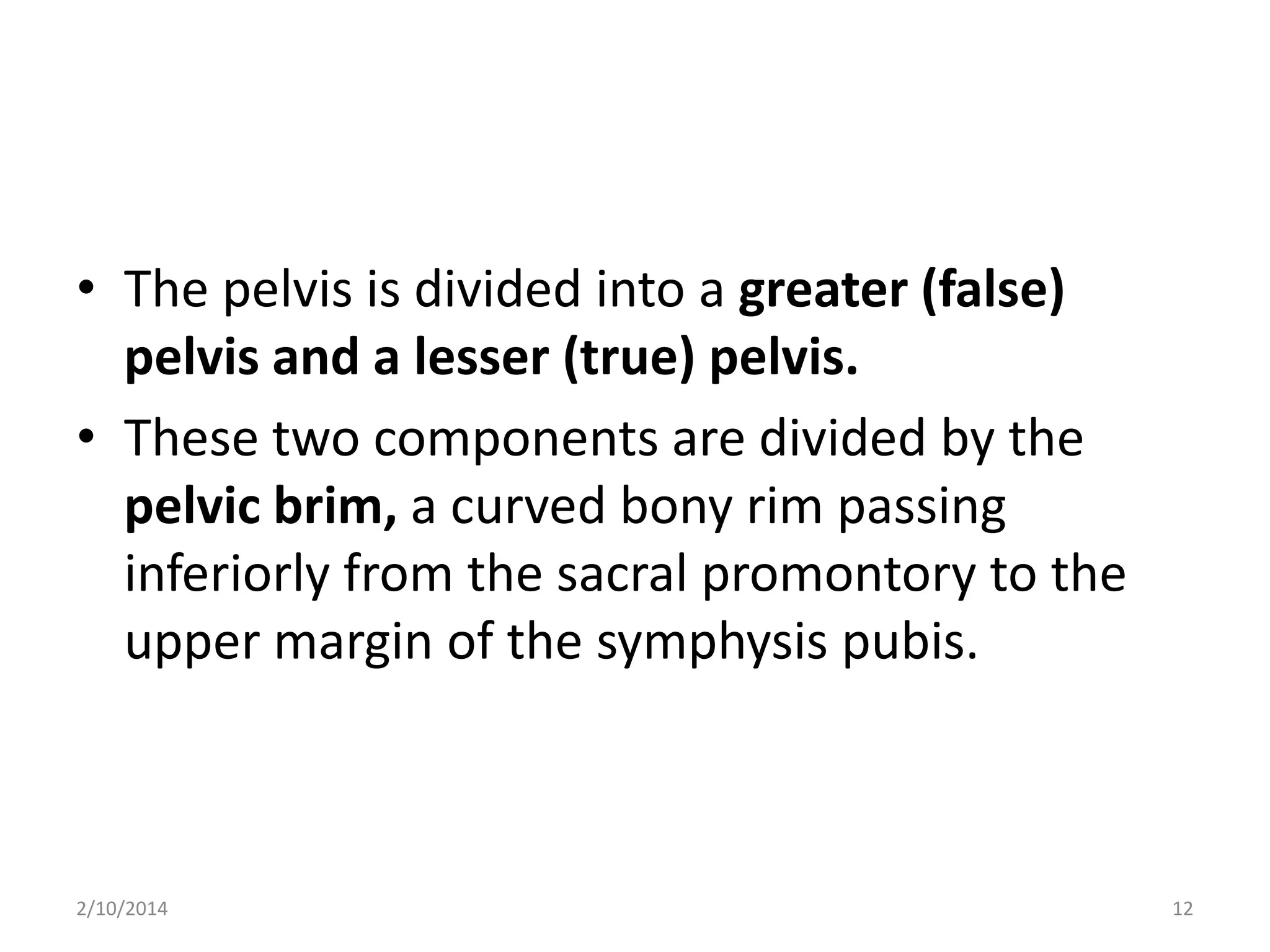 • The pelvis is divided into a greater (false)
pelvis and a lesser (true) pelvis.
• These two components are divided by the
pelvic brim, a curved bony rim passing
inferiorly from the sacral promontory to the
upper margin of the symphysis pubis.

2/10/2014

12

 