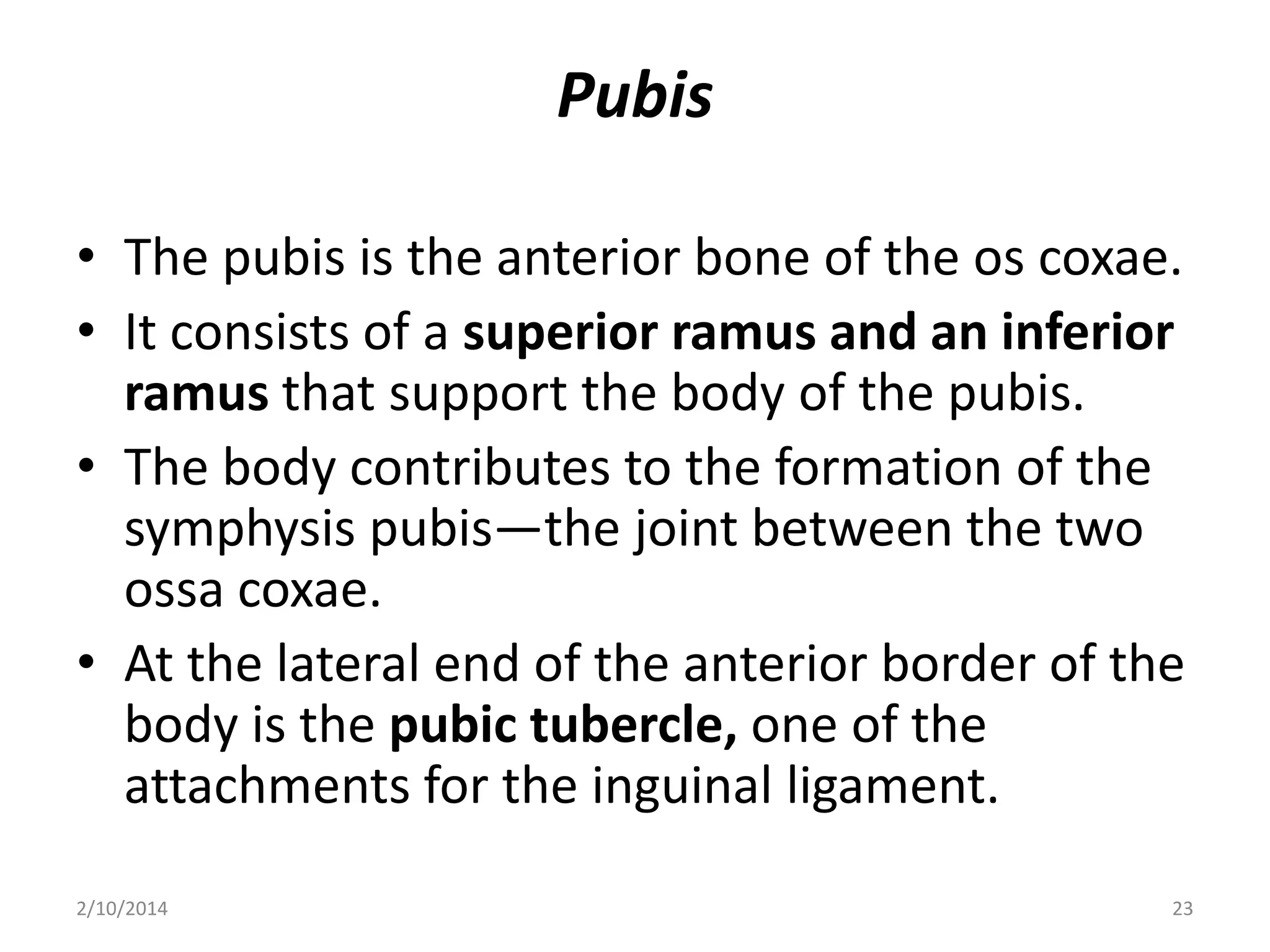 Pubis
• The pubis is the anterior bone of the os coxae.
• It consists of a superior ramus and an inferior
ramus that support the body of the pubis.
• The body contributes to the formation of the
symphysis pubis—the joint between the two
ossa coxae.
• At the lateral end of the anterior border of the
body is the pubic tubercle, one of the
attachments for the inguinal ligament.
2/10/2014

23

 