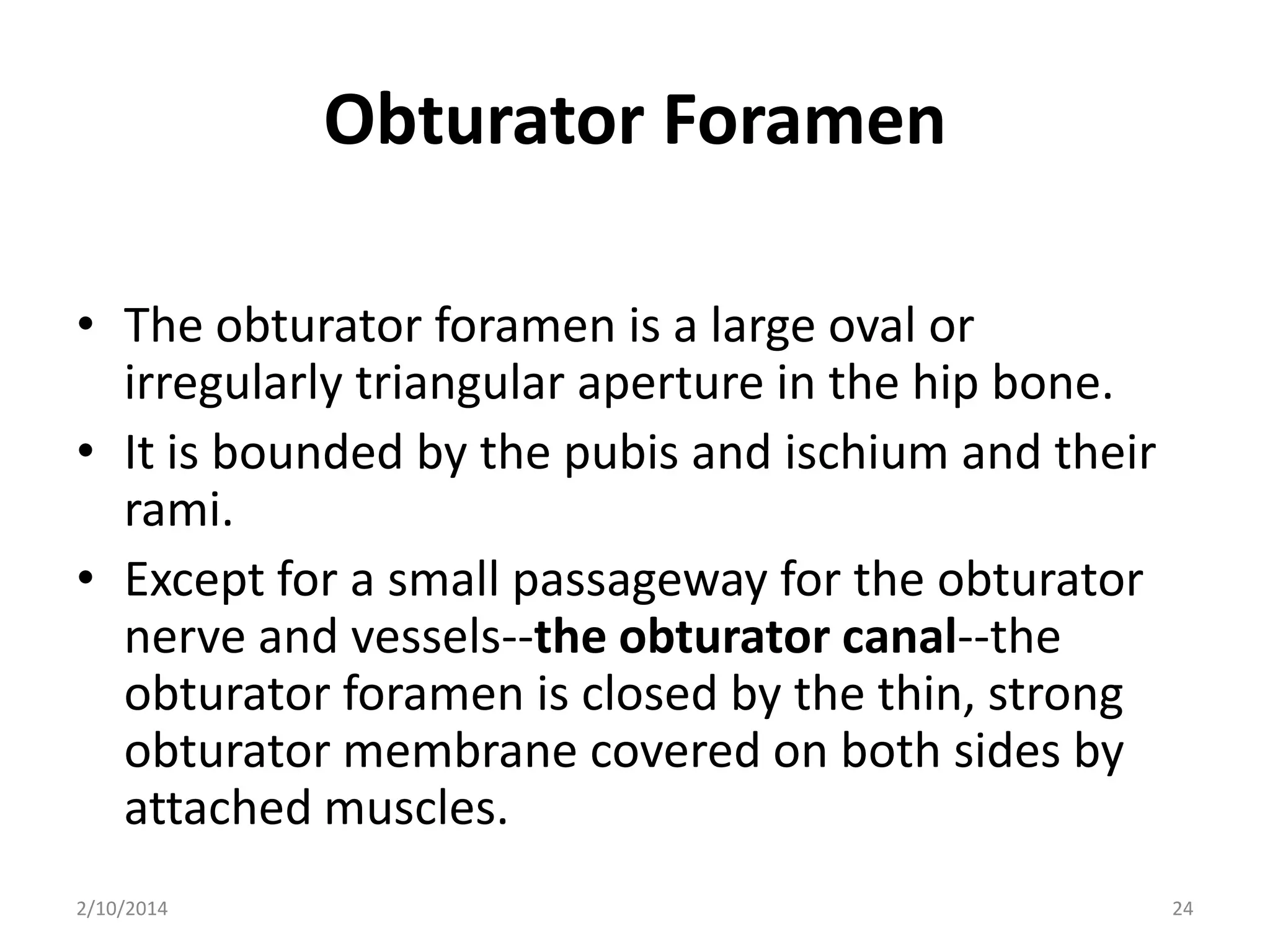 Obturator Foramen
• The obturator foramen is a large oval or
irregularly triangular aperture in the hip bone.
• It is bounded by the pubis and ischium and their
rami.
• Except for a small passageway for the obturator
nerve and vessels--the obturator canal--the
obturator foramen is closed by the thin, strong
obturator membrane covered on both sides by
attached muscles.
2/10/2014

24

 