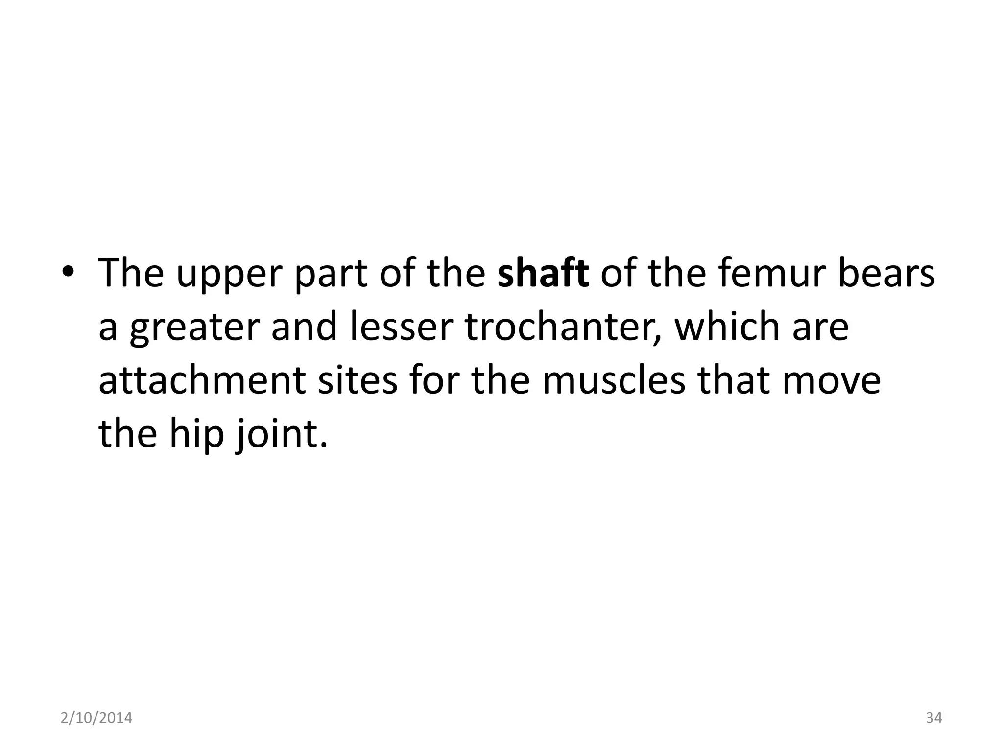 • The upper part of the shaft of the femur bears
a greater and lesser trochanter, which are
attachment sites for the muscles that move
the hip joint.

2/10/2014

34

 