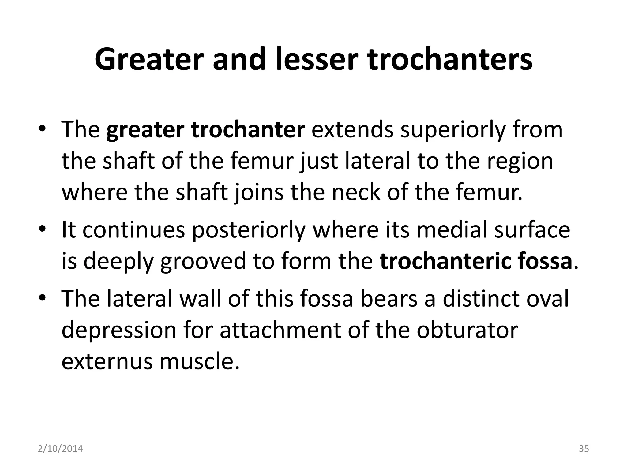 Greater and lesser trochanters
• The greater trochanter extends superiorly from
the shaft of the femur just lateral to the region
where the shaft joins the neck of the femur.
• It continues posteriorly where its medial surface
is deeply grooved to form the trochanteric fossa.
• The lateral wall of this fossa bears a distinct oval
depression for attachment of the obturator
externus muscle.

2/10/2014

35

 