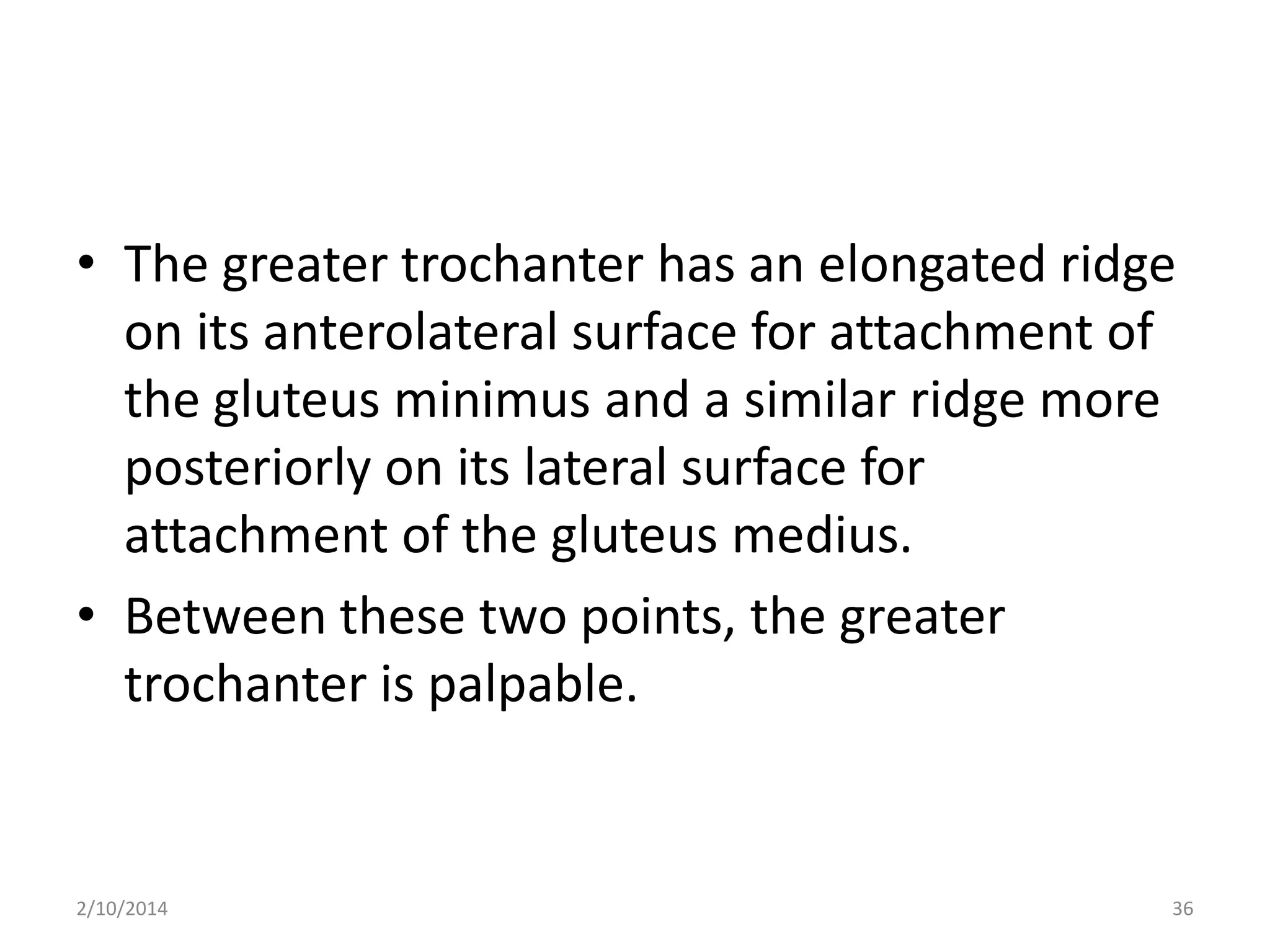 • The greater trochanter has an elongated ridge
on its anterolateral surface for attachment of
the gluteus minimus and a similar ridge more
posteriorly on its lateral surface for
attachment of the gluteus medius.
• Between these two points, the greater
trochanter is palpable.

2/10/2014

36

 