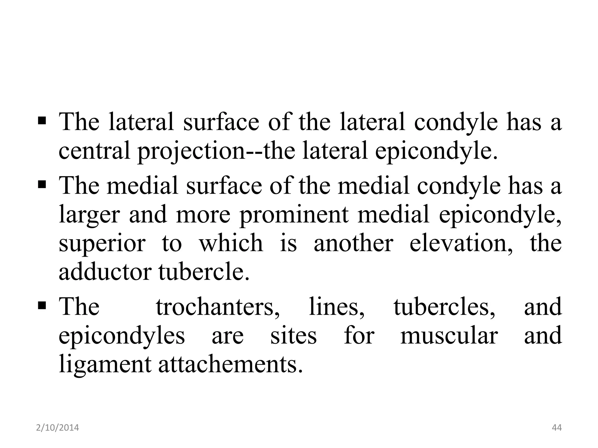  The lateral surface of the lateral condyle has a
central projection--the lateral epicondyle.
 The medial surface of the medial condyle has a
larger and more prominent medial epicondyle,
superior to which is another elevation, the
adductor tubercle.
 The
trochanters, lines, tubercles, and
epicondyles are sites for muscular and
ligament attachements.
2/10/2014

44

 