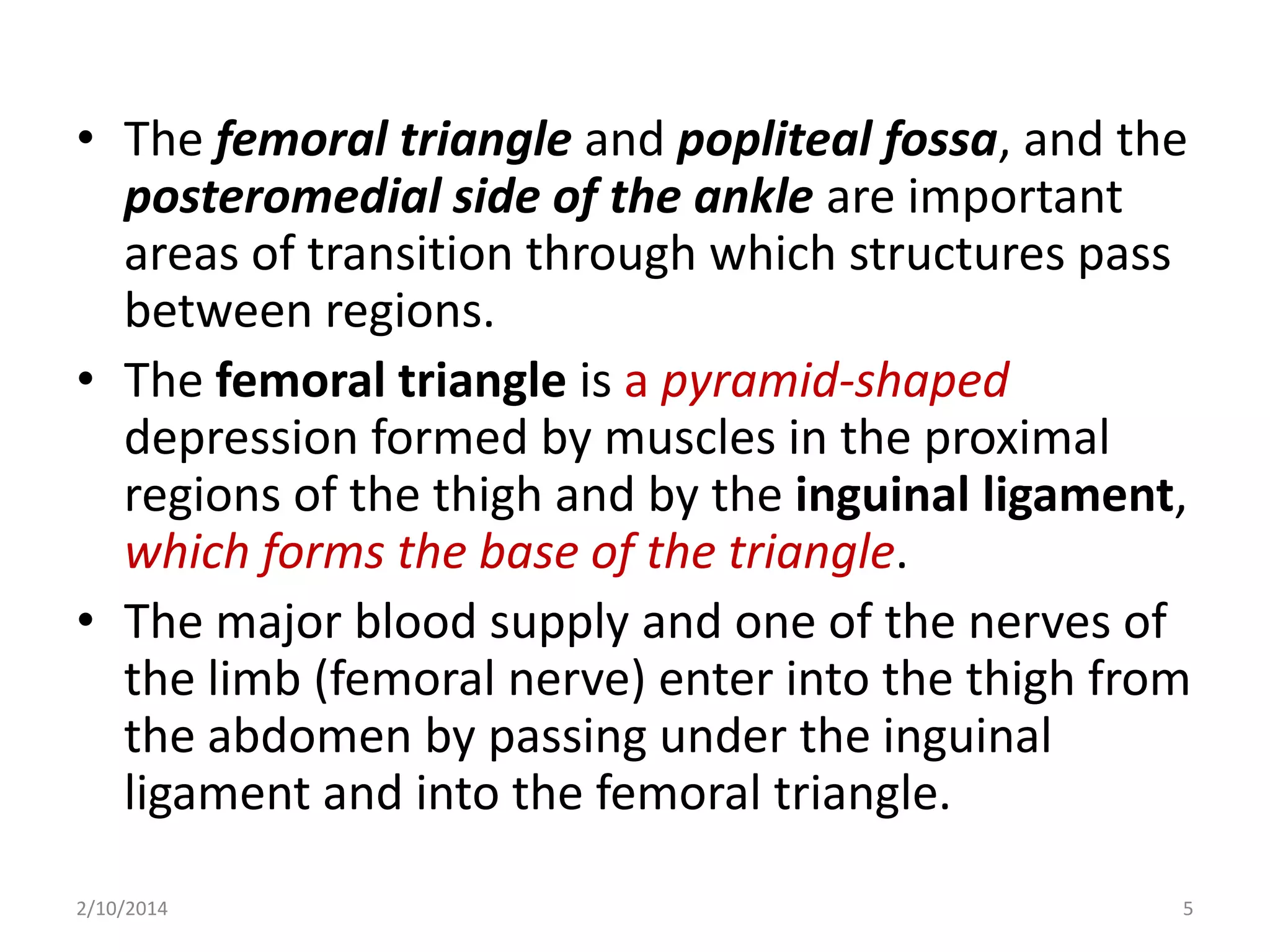 • The femoral triangle and popliteal fossa, and the
posteromedial side of the ankle are important
areas of transition through which structures pass
between regions.
• The femoral triangle is a pyramid-shaped
depression formed by muscles in the proximal
regions of the thigh and by the inguinal ligament,
which forms the base of the triangle.
• The major blood supply and one of the nerves of
the limb (femoral nerve) enter into the thigh from
the abdomen by passing under the inguinal
ligament and into the femoral triangle.
2/10/2014

5

 