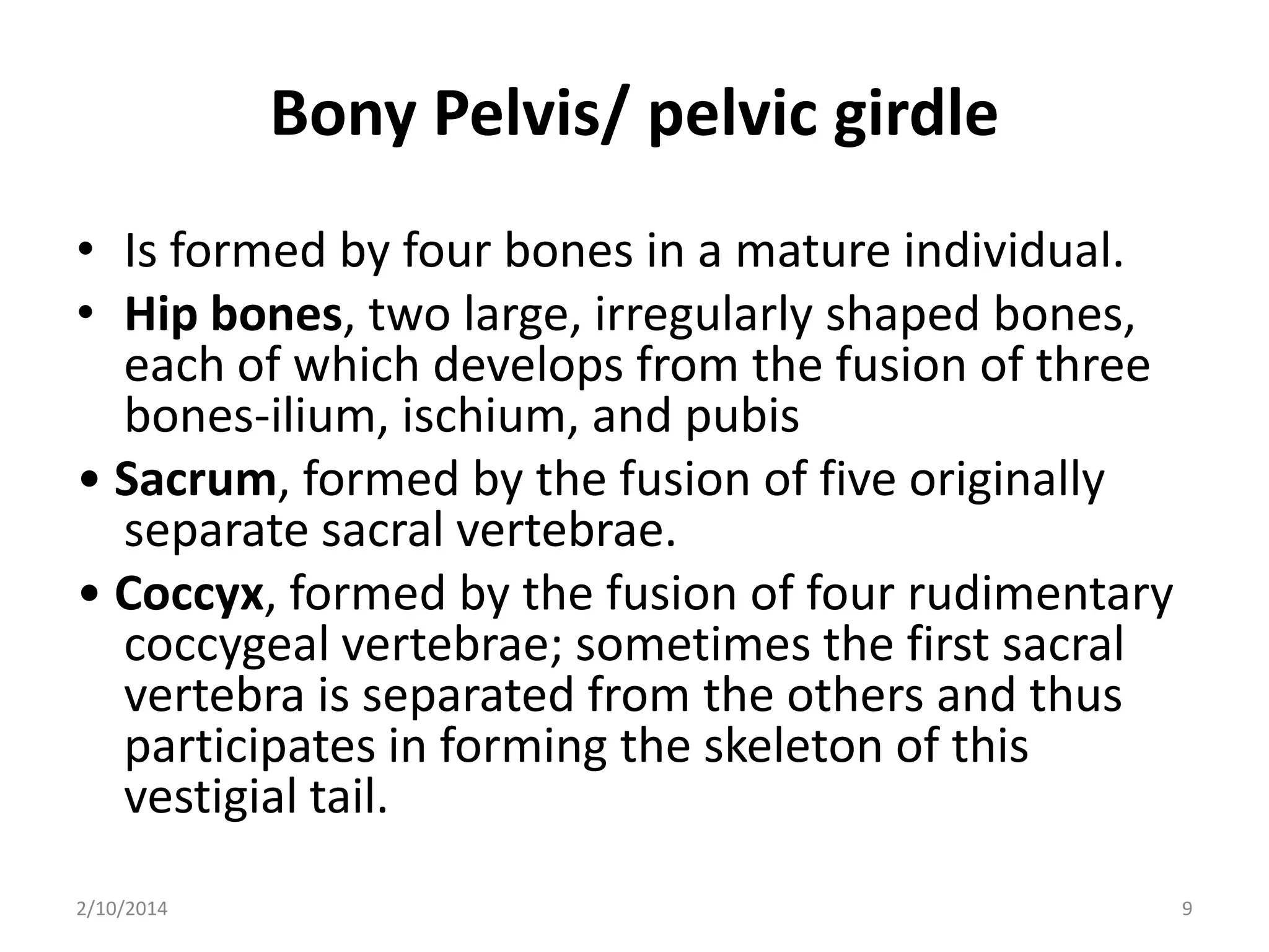 Bony Pelvis/ pelvic girdle
• Is formed by four bones in a mature individual.
• Hip bones, two large, irregularly shaped bones,
each of which develops from the fusion of three
bones-ilium, ischium, and pubis
• Sacrum, formed by the fusion of five originally
separate sacral vertebrae.
• Coccyx, formed by the fusion of four rudimentary
coccygeal vertebrae; sometimes the first sacral
vertebra is separated from the others and thus
participates in forming the skeleton of this
vestigial tail.
2/10/2014

9

 