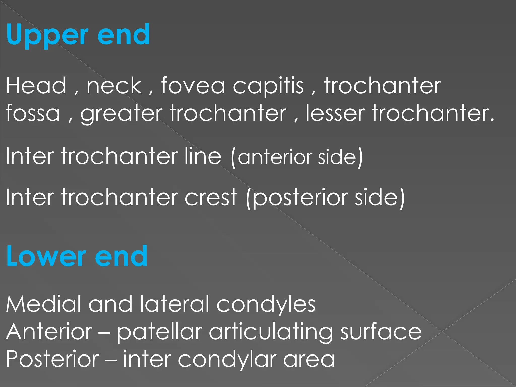 anatomy of the LOWER LIMB bones FINAL.pptx