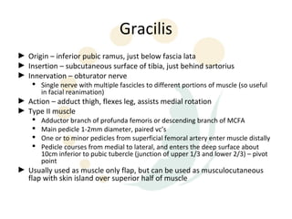 Gracilis
► Origin – inferior pubic ramus, just below fascia lata
► Insertion – subcutaneous surface of tibia, just behind sartorius
► Innervation – obturator nerve
     Single nerve with multiple fascicles to different portions of muscle (so useful
      in facial reanimation)
► Action – adduct thigh, flexes leg, assists medial rotation
► Type II muscle
       Adductor branch of profunda femoris or descending branch of MCFA
       Main pedicle 1-2mm diameter, paired vc’s
       One or to minor pedicles from superficial femoral artery enter muscle distally
       Pedicle courses from medial to lateral, and enters the deep surface about
        10cm inferior to pubic tubercle (junction of upper 1/3 and lower 2/3) – pivot
        point
► Usually used as muscle only flap, but can be used as musculocutaneous
  flap with skin island over superior half of muscle
 