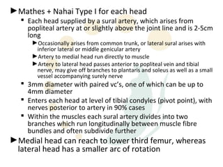 ►Mathes + Nahai Type I for each head
   Each head supplied by a sural artery, which arises from
    popliteal artery at or slightly above the joint line and is 2-5cm
    long
     ►Occasionally arises from common trunk, or lateral sural arises with
      inferior lateral or middle genicular artery
     ►Artery to medial head run directly to muscle
     ►Artery to lateral head passes anterior to popliteal vein and tibial
      nerve, may give off branches to plantaris and soleus as well as a small
      vessel accompanying surely nerve
   3mm diameter with paired vc’s, one of which can be up to
    4mm diameter
   Enters each head at level of tibial condyles (pivot point), with
    nerves posterior to artery in 90% cases
   Within the muscles each sural artery divides into two
    branches which run longitudinally between muscle fibre
    bundles and often subdivide further
►Medial head can reach to lower third femur, whereas
 lateral head has a smaller arc of rotation
 