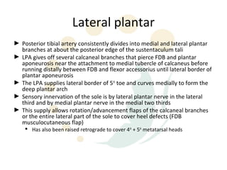 Lateral plantar
► Posterior tibial artery consistently divides into medial and lateral plantar
  branches at about the posterior edge of the sustentaculum tali
► LPA gives off several calcaneal branches that pierce FDB and plantar
  aponeurosis near the attachment to medial tubercle of calcaneus before
  running distally between FDB and flexor accessorius until lateral border of
  plantar aponeurosis
► The LPA supplies lateral border of 5th toe and curves medially to form the
  deep plantar arch
► Sensory innervation of the sole is by lateral plantar nerve in the lateral
  third and by medial plantar nerve in the medial two thirds
► This supply allows rotation/advancement flaps of the calcaneal branches
  or the entire lateral part of the sole to cover heel defects (FDB
  musculocutaneous flap)
     Has also been raised retrograde to cover 4 th + 5th metatarsal heads
 