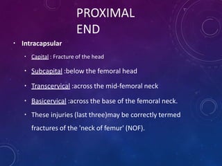 PROXIMAL
END
▪ Intracapsular
▪ Capital : Fracture of the head
▪ Subcapital :below the femoral head
▪ Transcervical :across...