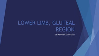 LOWER LIMB, GLUTEAL
REGION
Dr Mahwash Azam Khan
 