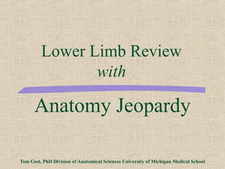 Lower Limb Review
                with

      Anatomy Jeopardy

Tom Gest, PhD Division of Anatomical Sciences University of Michigan Medical School
 