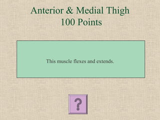 Anterior & Medial Thigh
       100 Points


   This muscle flexes and extends.
 