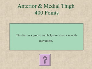 Anterior & Medial Thigh
        400 Points


This lies in a groove and helps to create a smooth
                   movement.
 