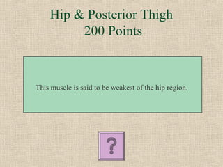 Hip & Posterior Thigh
         200 Points



This muscle is said to be weakest of the hip region.
 