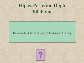 Hip & Posterior Thigh
          300 Points



This muscle is the most powerful extensor of the hip.
 