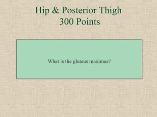 Hip & Posterior Thigh
     300 Points



   What is the gluteus maximus?
 