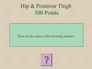 Hip & Posterior Thigh
       500 Points



These are the names of the hamstring muscles.
 