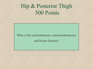 Hip & Posterior Thigh
       500 Points


What is the semitendinosus, semimembranosus,
            and biceps femoris?
 