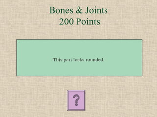 Bones & Joints
  200 Points


This part looks rounded.
 