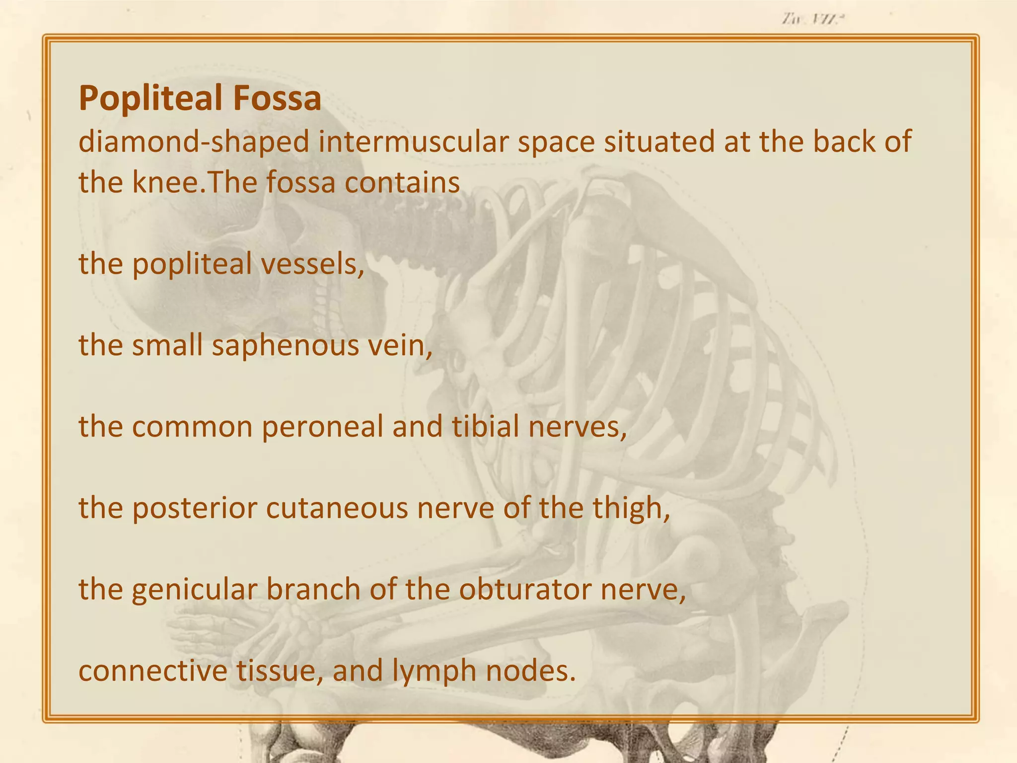 Popliteal Fossa

diamond-shaped intermuscular space situated at the back of
the knee.The fossa contains
the popliteal vessels,
the small saphenous vein,
the common peroneal and tibial nerves,
the posterior cutaneous nerve of the thigh,
the genicular branch of the obturator nerve,
connective tissue, and lymph nodes.

 