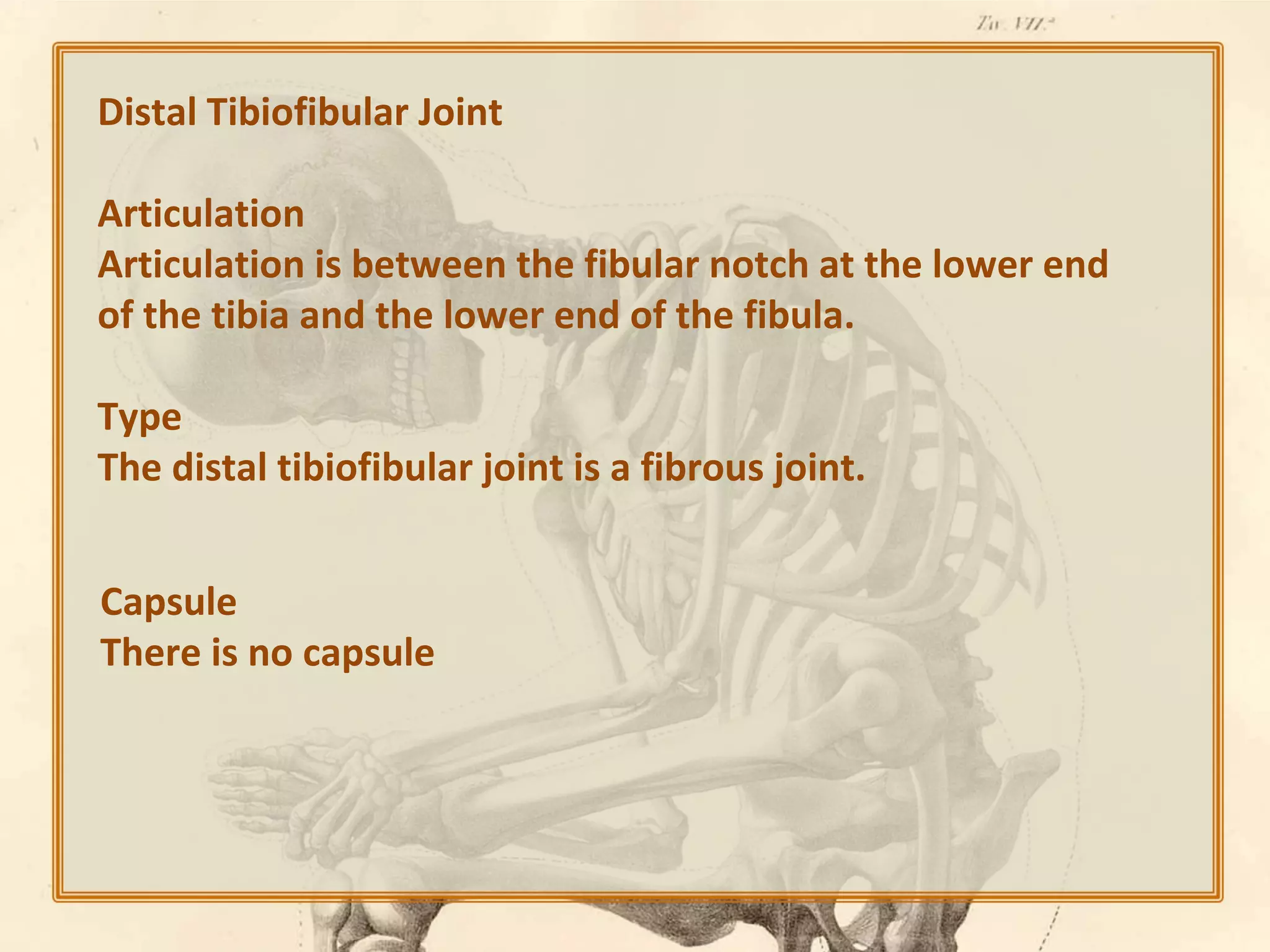 Distal Tibiofibular Joint
Articulation
Articulation is between the fibular notch at the lower end
of the tibia and the lower end of the fibula.
Type
The distal tibiofibular joint is a fibrous joint.
Capsule
There is no capsule

 