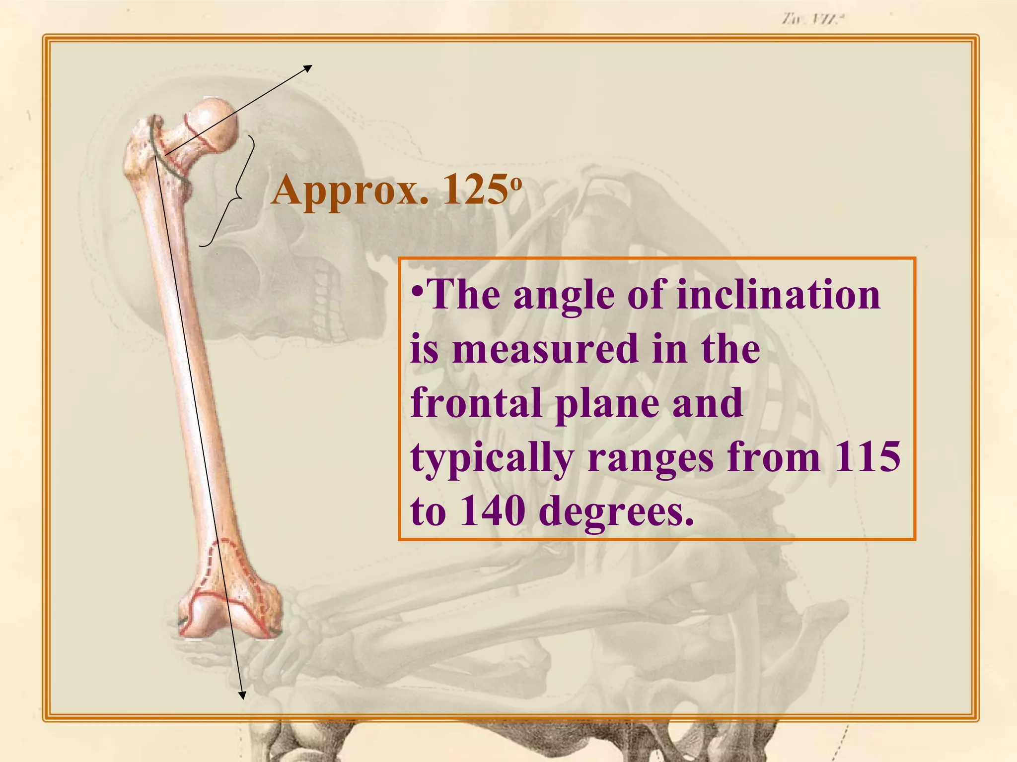 Approx. 125o
•The angle of inclination
is measured in the
frontal plane and
typically ranges from 115
to 140 degrees.

 