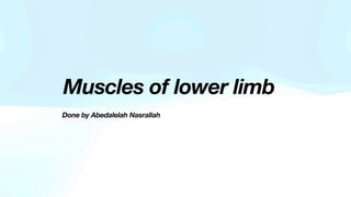 Muscles of lower limb
Done by Abedalelah Nasrallah
 
