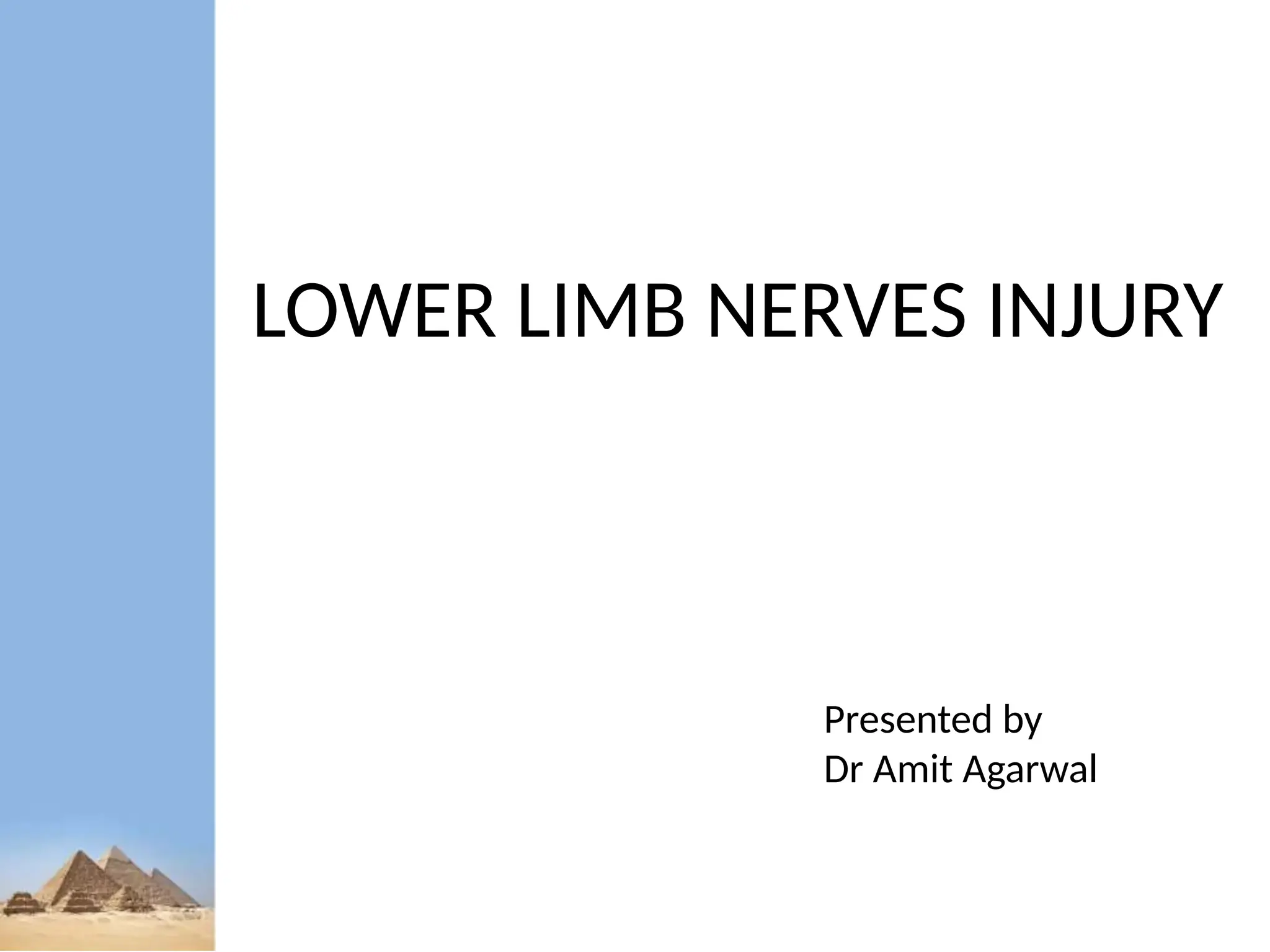Lower Limb Nerve Injuries 20240530 234224 Pptx