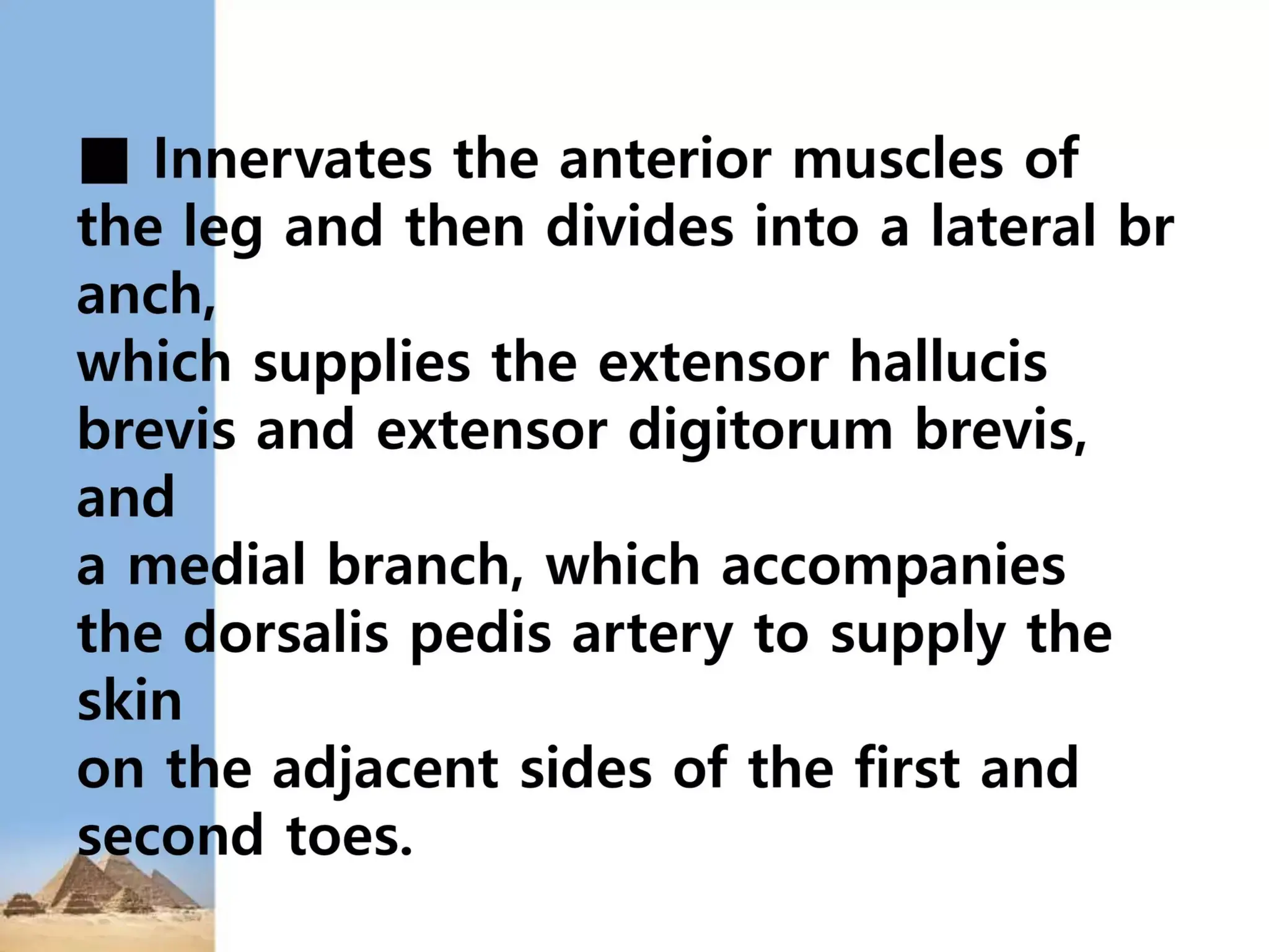 Lower Limb Nerve Injuries 20240530 234224 Pptx