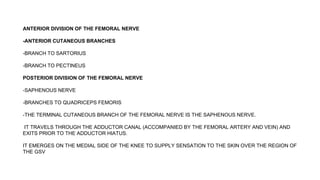 ANTERIOR DIVISION OF THE FEMORAL NERVE
-ANTERIOR CUTANEOUS BRANCHES
-BRANCH TO SARTORIUS
-BRANCH TO PECTINEUS
POSTERIOR DIVISION OF THE FEMORAL NERVE
-SAPHENOUS NERVE
-BRANCHES TO QUADRICEPS FEMORIS
-THE TERMINAL CUTANEOUS BRANCH OF THE FEMORAL NERVE IS THE SAPHENOUS NERVE.
IT TRAVELS THROUGH THE ADDUCTOR CANAL (ACCOMPANIED BY THE FEMORAL ARTERY AND VEIN) AND
EXITS PRIOR TO THE ADDUCTOR HIATUS.
IT EMERGES ON THE MEDIAL SIDE OF THE KNEE TO SUPPLY SENSATION TO THE SKIN OVER THE REGION OF
THE GSV
 