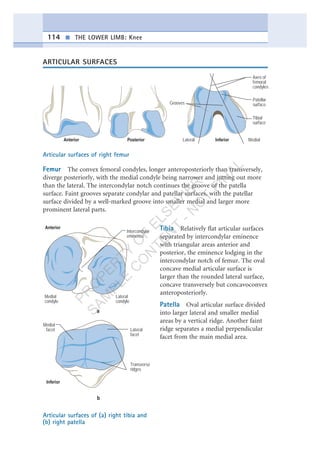 Intercondyler Ridge Lower limb nice note | PDF
