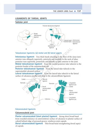 Lower limb nice note | PDF